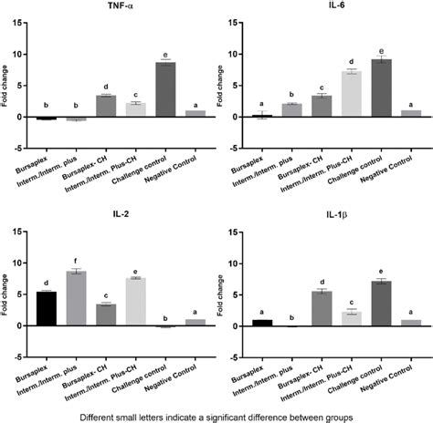 Comparative Tnf α Il 6 Il 2 And Il 1β Expression In Vaccinated And