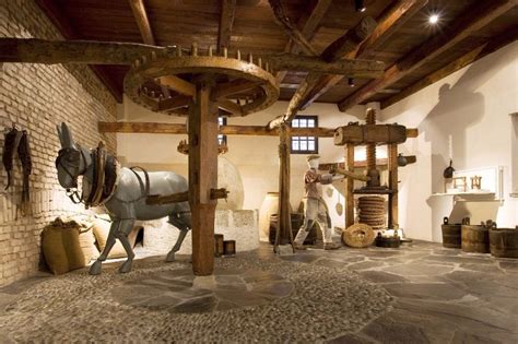 Scopri Il Museo Dell Olivo E Dell Olio E Gli Antichi Frantoi Oleari Ipogei