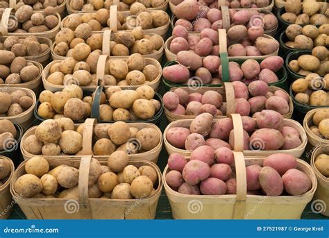 Manden Van Aardappels Stock Afbeelding Image Of Groep 27521987