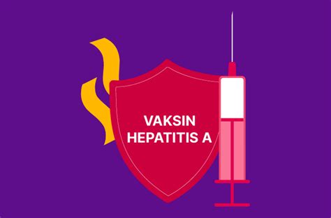 Vaksin Hepatitis A Tujuan Jenis Dan Prosedur Halodoc