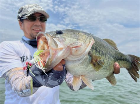 これぞ琵琶湖クオリティ、パターンを180度変えて10キロ越え【琵琶湖バス釣り】 杉戸繁伸船長blog 琵琶湖バスフィッシングガイド