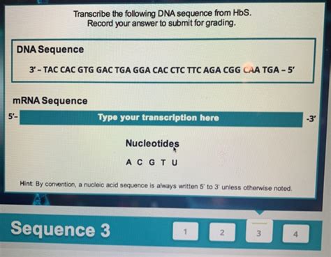 Solved Transcribe The Following Dna Sequence From Hbs