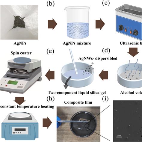 Schematic Graph Showing The Preparation Process Of Dispersed Agnps And