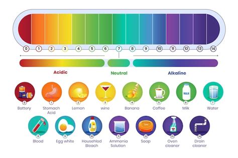 Infografía de escala de ph de gradiente Vector Gratis