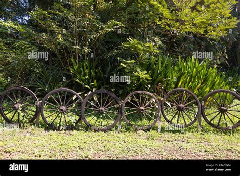 Wagon Wheel Fence Around Tree Stock Photo Alamy