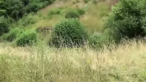 Tanta Voglia Di Cazzo Full Hd Movie Uncut Free Porn C Xhamster