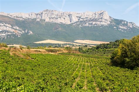 La influencia de la Sierra de Toloño en el viñedo