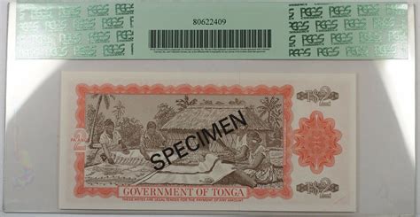 Banknoten Pa Anga Tonga Specimen Note Scwpm B Cs Pcgs Ppq