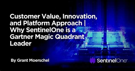 Customer Value Innovation And Platform Approach Why Sentinelone Is A