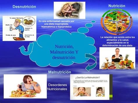 Mapa Mental De Nutrición ¡tienes Que Saber Esto