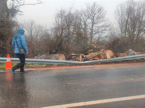 El Fuerte Viento Derriba Sobre La Carretera Un Rbol Cerca De La