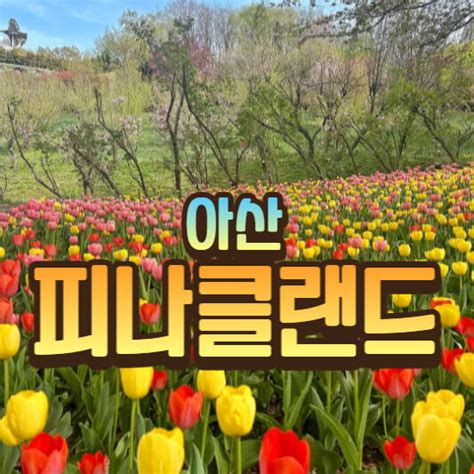 아산 피나클랜드 수목원 튤립 수선화 축제