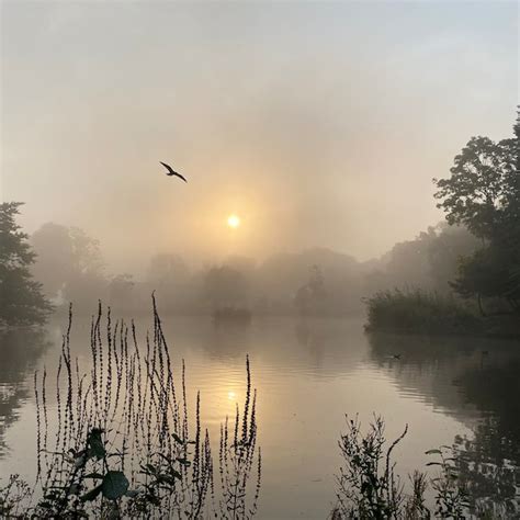 Misty Lake - Etsy