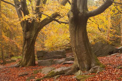 Autumn in West Yorkshire landscape photography workshop - David Speight ...