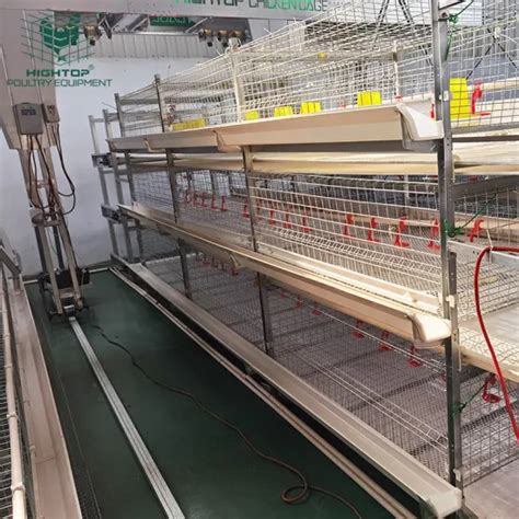 Design Broiler Poultry Farm Cage System Tiers Tiers H Type