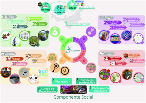 Diagrama Metodol Gico Y De Resultados General Del Macroproyecto