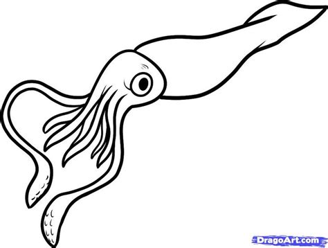 An Octopus Is Flying Through The Air With Its Tail Extended And Eyes