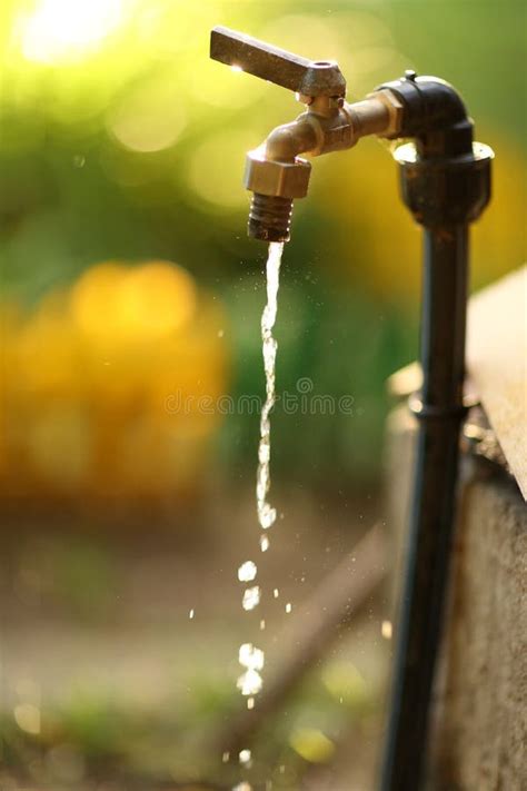 Water Drops Dripping From Tap Fasset Close Up Photo Stock Photo Image