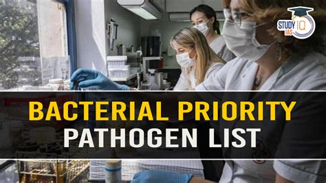 WHO Bacterial Priority Pathogen List BPPL