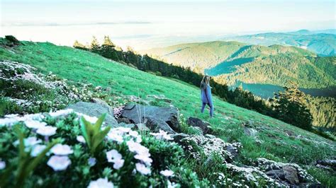 Six Perfect Hikes in Oregon's Willamette Valley