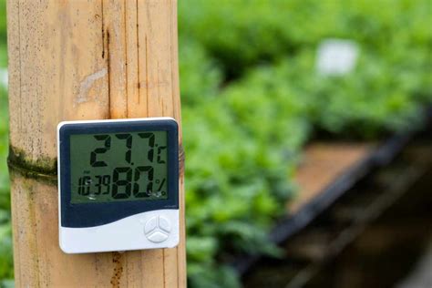 Ideal Greenhouse Temperature And Humidity Perfect Balance Gardenia