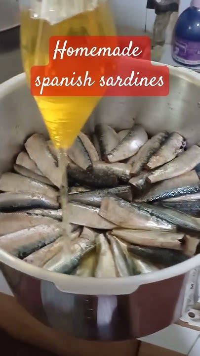 Homemade Spanish Sardines Farmlife Sardinesrecipe Fish Youtube