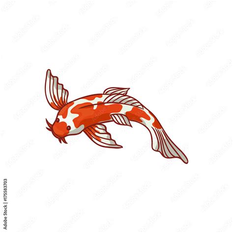 Japanese Asian Koi Carp Goldfish Gold Fish Top View Flat Style