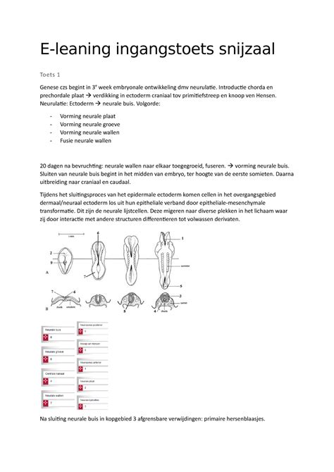 Coo Anatomie E Leaning Ingangstoets Snijzaal Toets Genese Czs