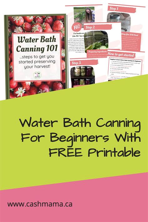 Water Bath Canning For Beginners In 2023 Artofit