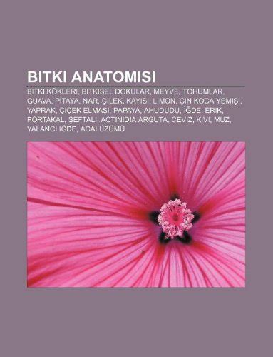 Bitki Anatomisi Bitki K Kleri Bitkisel Dokular Meyve Tohumlar