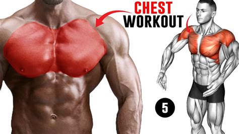 5 Best Chest Exercises At Gym Effective Chest Workouts For Building Muscle Youtube