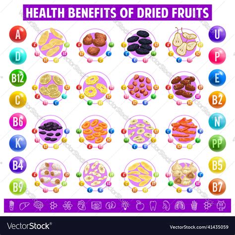 Dried Fruits Chart Table Content Of Vitamins Vector Image