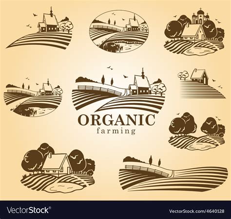 Organic Farming Design Elements Royalty Free Vector Image