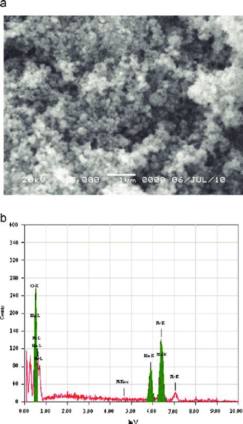 A Sem Micrograph And B Edx Of Manganese Ferrite Mn Fe O