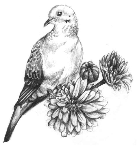 Mourning Dove Feather Tattoo