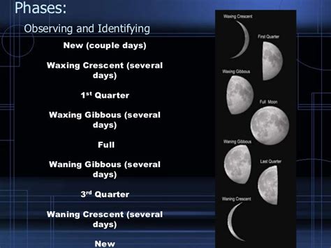 Moon Phases Eclipses And Tides
