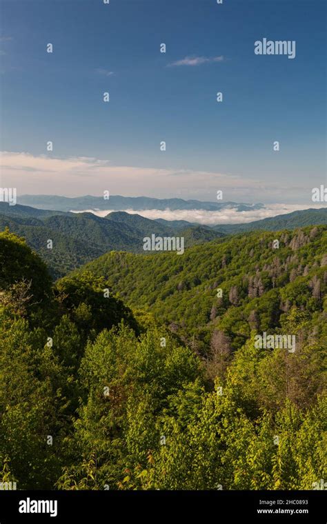 Great Smoky Mountains National Park Stock Photo - Alamy