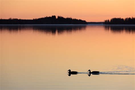 The Lodge at Schroon Lake - Adirondack Mountains Hotels