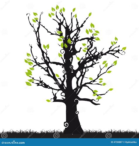 Tree Silhouette Old Grass Stock Vector Illustration Of Branch 4730887