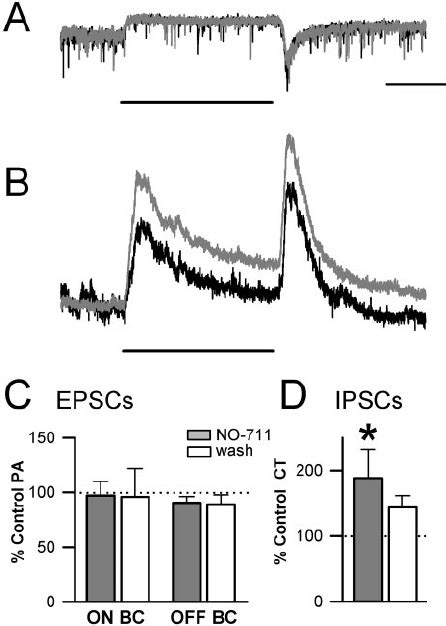 No Reduced Light Evoked Epscs And Ipscs In Ganglion Cells A