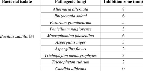 The Antagonistic Effect Of Bacillus Subtilis B On Different Pathogenic