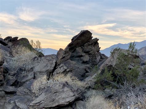 Hiking the Palm Springs Museum Trail