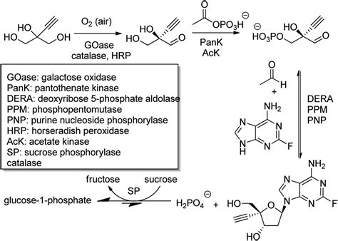 The Hitchhiker S Guide To Biocatalysis Recent Advances In The Use Of