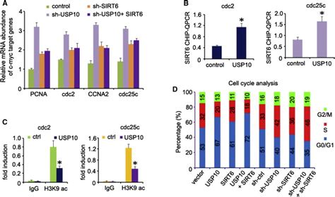 Usp10 Inhibits C Myc Transcriptional Activity Download Scientific Diagram