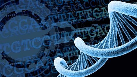 Using NCBI's Primer-BLAST to design and analyze PCR primers - NCBI Insights