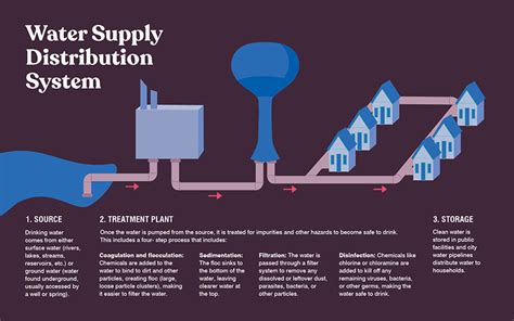 From Source To Tap Mapping Drinking Water Origins In Amcs Region