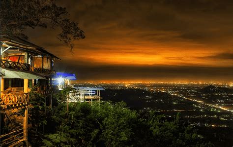 15 Pemandangan Malam Hari Hutan