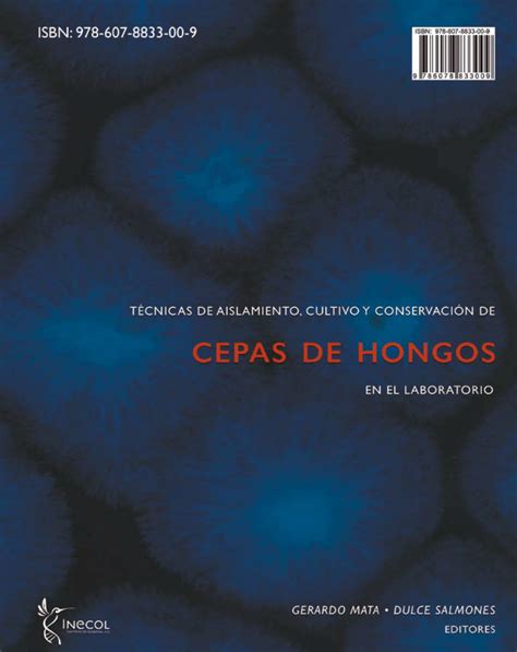 PDF Hongos micorrízicos arbusculares