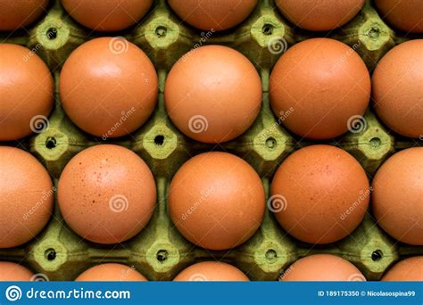 Fresh Eggs In A Carton Stock Photo Image Of Natural 189175350