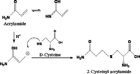 The Addition Reaction Of D Cysteine To Acrylamide Download